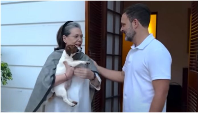 AIMIM leader Md Farhan moves to the court against Rahul Gandhi for naming his dog 'Noorie', says 'religious sentiments hurt'