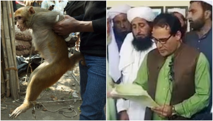 Pakistani Professor forced to apologise for teaching Darwin’s Theory of Evolution, declare ‘women inferior to men’: What Islam says about Evolution