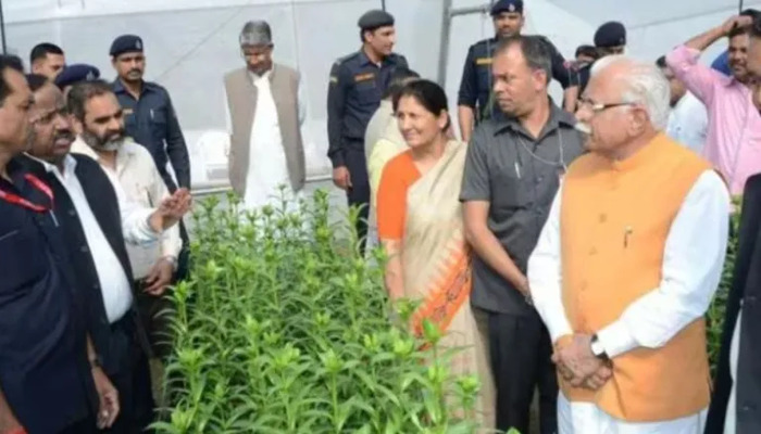 Haryana govt to provide incentive to farmers promoting crop diversification under Mera Pani Meri Virasat scheme, plans to conserve 42,480 cr litre water