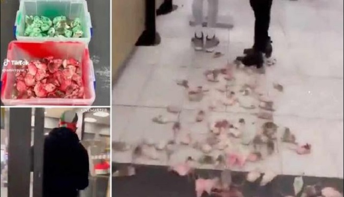 UK: Man lets loose live rats painted in colours of Palestinian flag inside Birmingham McDonald’s shouting ‘Free Palestine’, video goes viral 