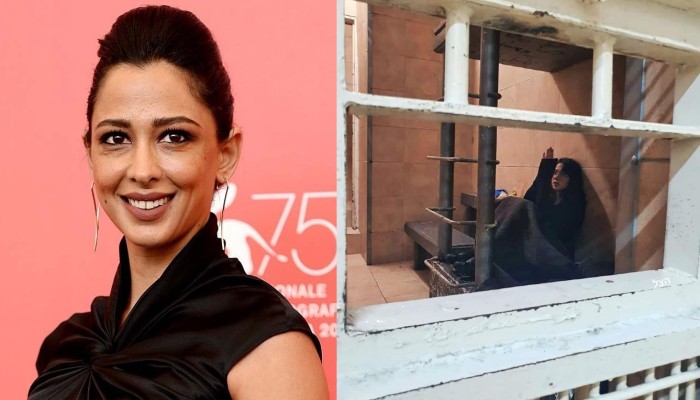Palestinian actress who has appeared in several Israeli TV shows arrested for sharing posts mocking Israeli victims and celebrating Hamas attacks