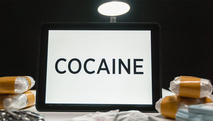 Jammu and Kashmir Police apprehend two drug peddlers from Punjab with 30 KG cocaine worth 300 crores