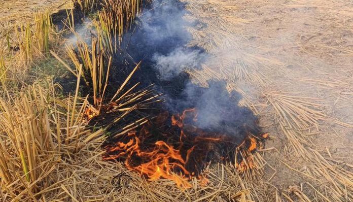 Punjab stubble burning