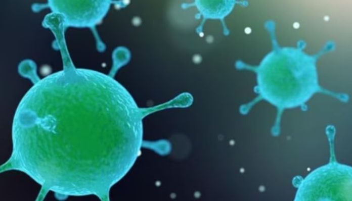 First Human case of Influenza A(H1N2)v virus found in UK, strain similar to viruses circulating in pigs in UK