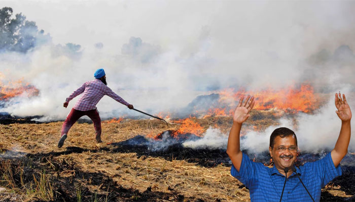 As AAP now blames Haryana for deteriorating air quality in Delhi, here’s how stubble burning in Punjab contributed massively to the pollution menace