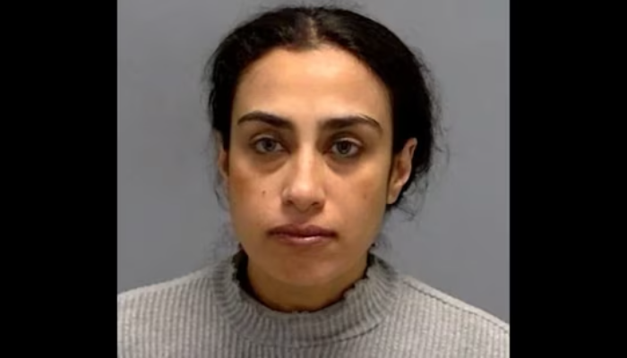 ‘Yes, I did it on purpose’: Arab Muslim woman says after ramming car into what she believed was a Jewish school in Indianapolis, USA
