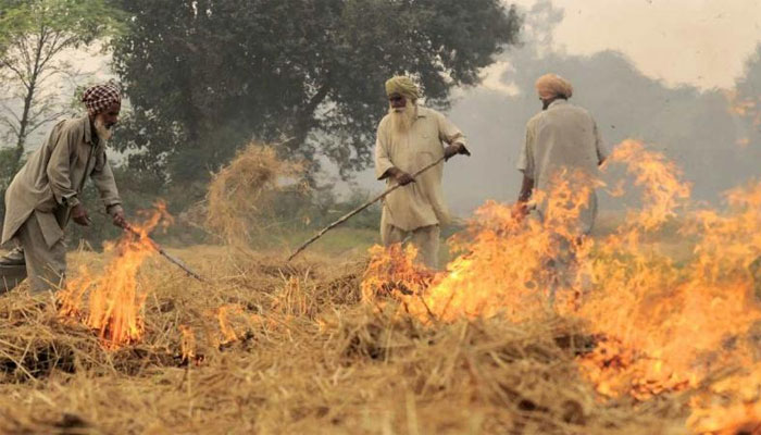 Punjab records 2,544 stubble-burning incidents in 24 hours, 2nd highest of the season even as blame of poor AQI stays with Diwali
