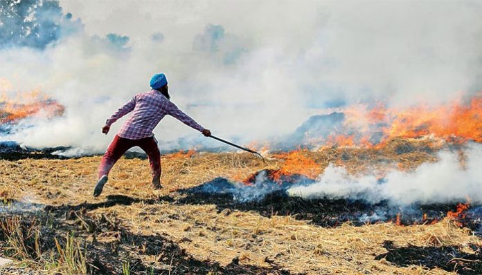 Punjab ended Kharif season with 35,000+ farm fires