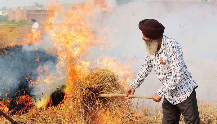 Punjab AG argues to stop paddy MSP as ‘one-day solution’ for stubble burning, but this is how AAP has been playing politics on it over the years