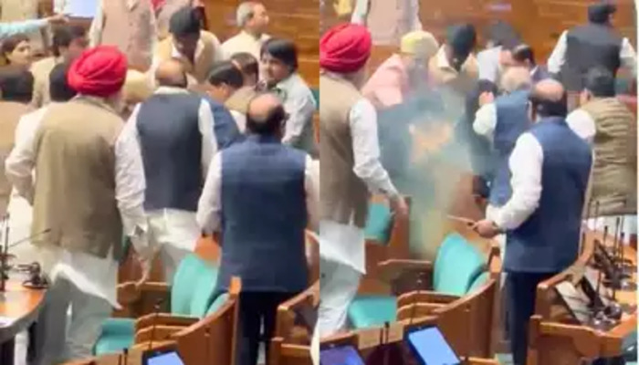 Hairs plucked, shoes hurled, and punches delivered: How 11 MPs in Lok Sabha caught and thrashed an intruder in parliament