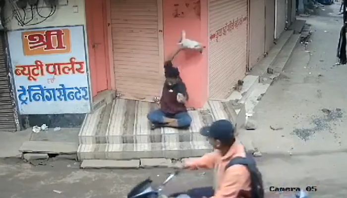 Madhya Pradesh: Man arrested for crushing puppy to death in Guna, CM Shivraj Singh Chouhan assures strict action