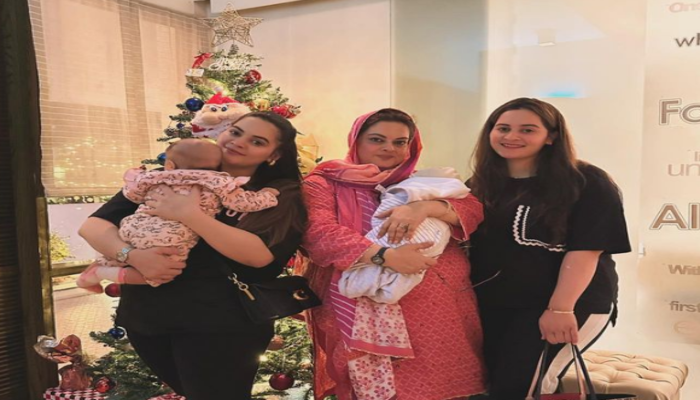 ‘Are you guys Christian?’, ‘Why wearing Nike and Adidas’: Islamists attack Pakistani actress Minal Khan over picture with Christmas tree
