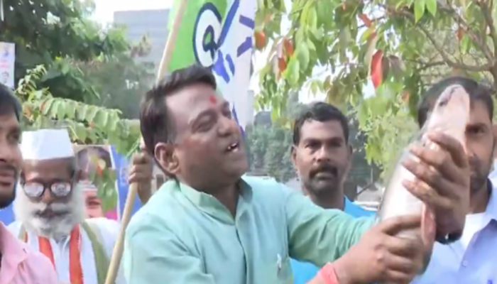 RJD workers bring live fish as a sign of auspiciousness to celebrate Congress lead in Chhattisgarh, BJP takes the lead after that
