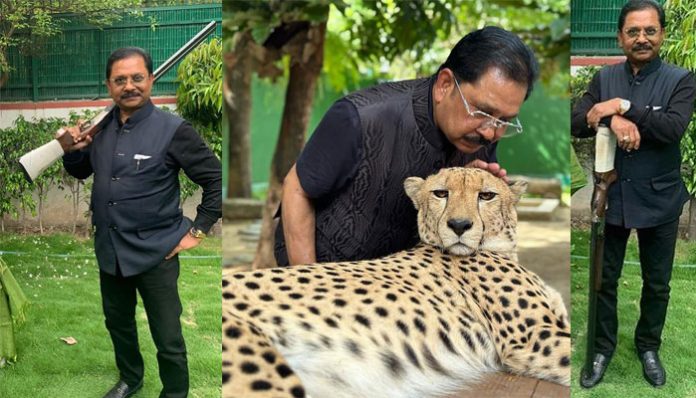 Old photographs of Congress MP facing IT raides went viral where he posed with a tiger, rifles and a cheetah