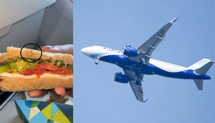 Passenger finds worms in a veg sandwich served on an Indigo flight, video goes viral