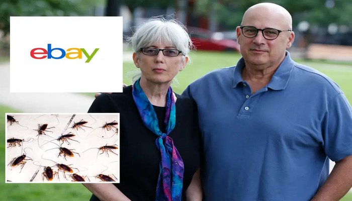 eBay employees harassed blogger couple by sending cockroaches, pig mask etc, put up their names on Craigslist as sex workers, company agrees to pay $3 million penalty