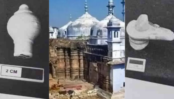 Gyanvapi dispute: While Owaisi & coterie reject ASI’s findings, here’s reminding them how the Muslim side was also part of the survey