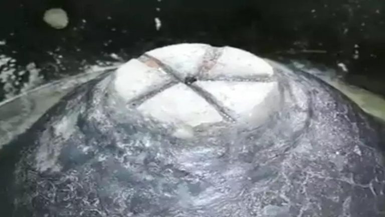 Gyanvapi mosque-Kashi Vishvanath Temple: Application filed in SC for cleaning of ‘wazukhana’ where Shivling was found
