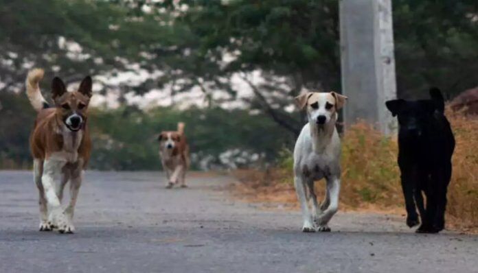 Representational Image from Times Now