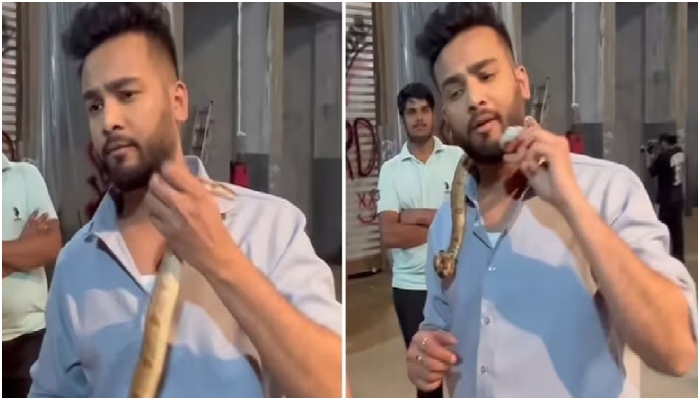 Elvish Yadav Rave Party Case: FSL report confirms Cobra Krait venom in ...