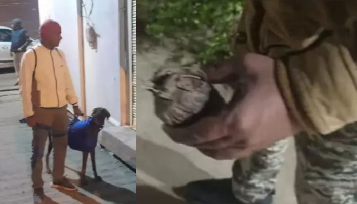 Inactive hand grenade found in the vacant ground of Bhind's RSS office