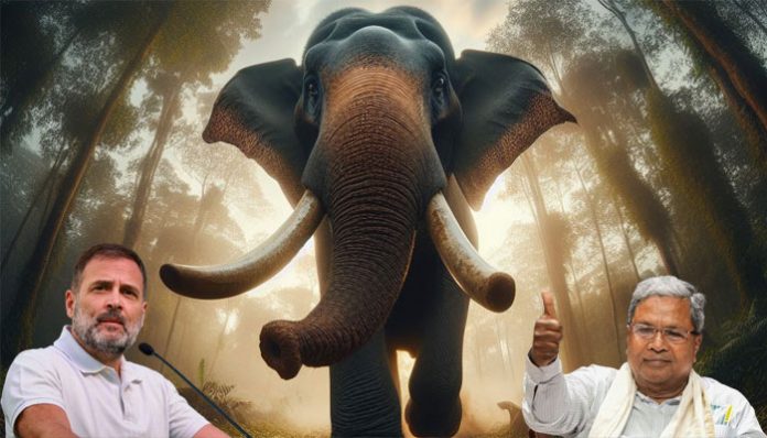 Rahul Gandhi instructed Karnataka govt to compensate death of man died in Kerala