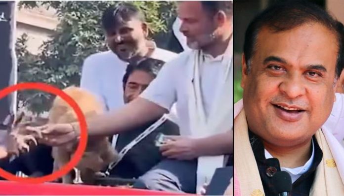 Rahul Gandhi gives biscuit, rejected by a dog, to party worker, Himanta Biswa Sarma recalls how a similar incident made him leave Congress