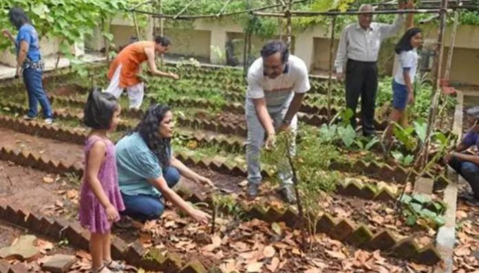 Schools gardening representative image