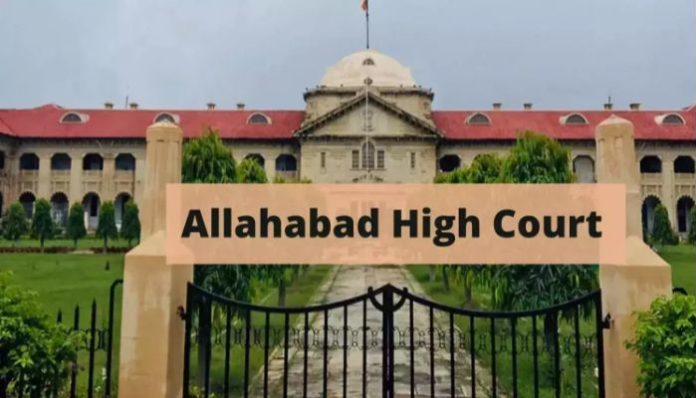 Allahabad HC frames contempt charges against man over WhatsApp message accusing a judge of corruption