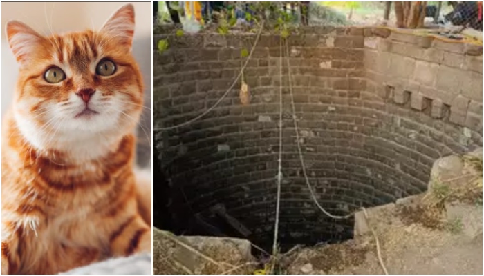 Maharashtra: 5, including 4 from a family, die of suffocation while saving a cat in an abandoned well containing a slurry of biogas