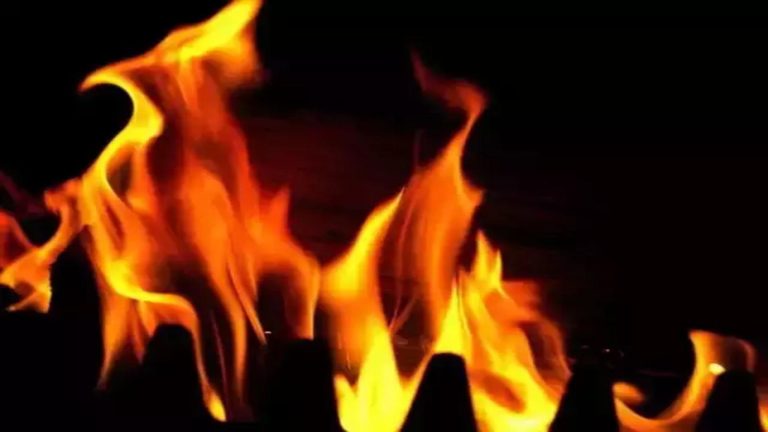 Punjab: Man sets pregnant wife on fire in Amritsar and kills her, NCW seeks detailed action report