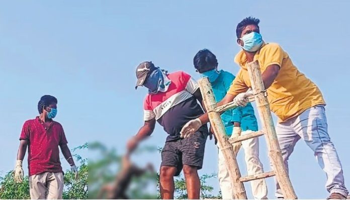 Workers remove the dead body of a monkey from the water tank.