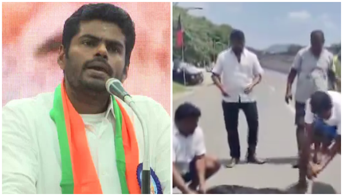 Symbolic murder? DMK workers paste Annamalai’s picture on a goat before beheading it, had earlier eaten mutton biryani to ‘celebrate’ his loss