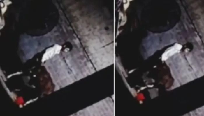 Uttar Pradesh: Bhura Shaikh arrested for sodomising a cow, is also accused of preying on dogs and goats in the absence of cows