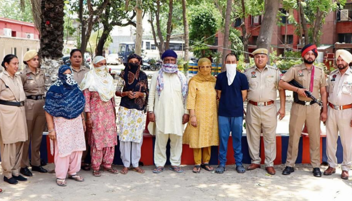 Image from The Tribune