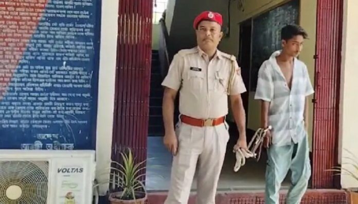 Image from Northeast Now