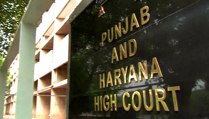 Girl allegedly sold by her Muslim partner in Bahrain; Punjab and Haryana HC orders central and state governments to ensure her safety