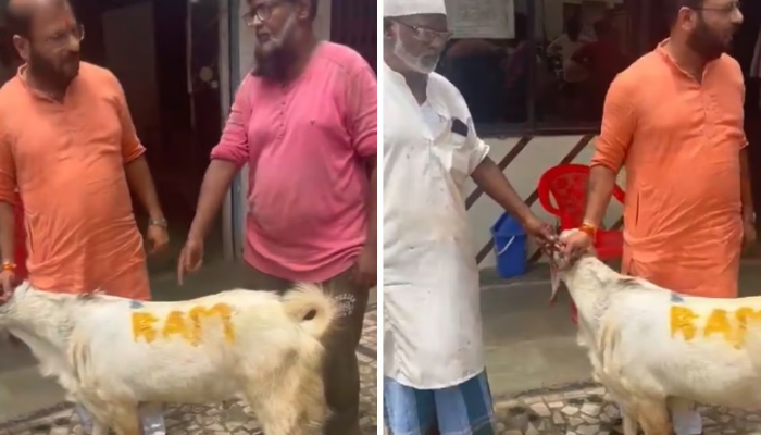 Mumbai: Shop owner detained after visuals of goat meant for Bakrid scribbled with ‘Ram’ goes viral on social media