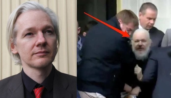 'His freedom is our freedom': Wikileaks founder Julian Assange walks free after spending 5 years behind bars for 'espionage'