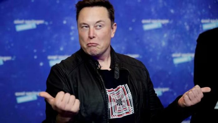Elon Musk EU