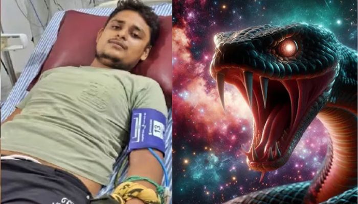 Vikas Dubey was not bitten by snake 7 times but only once, doctors say he suffers from snake phobia