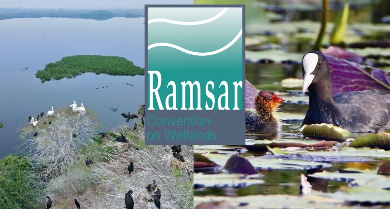Protecting Wetlands: India adds three more wetlands to the list of Ramsar Sites, 59 sites added after 2014 compared to 26 added from 1982 to 2013