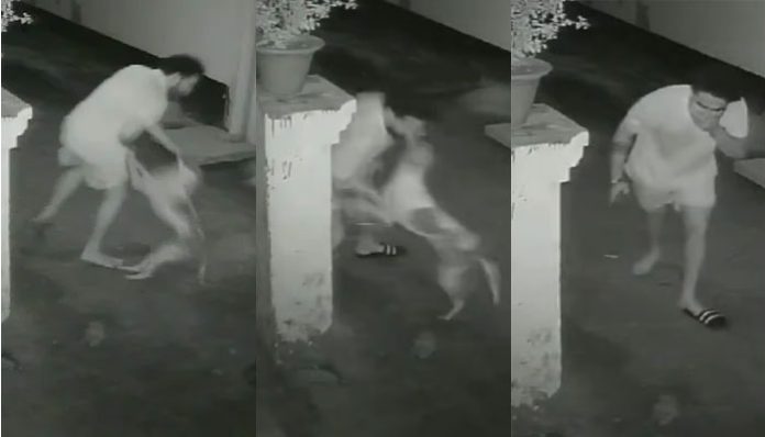 Stray dog attacked 17 people in one hour in Gorakhpur, Uttarpradesh. Attack video went viral on social media