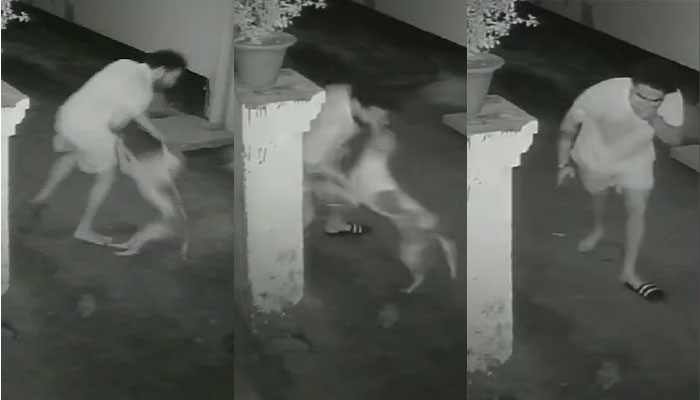 Uttar Pradesh: Stray dog attack leaves 17 people injured in one hour in Gorakhpur, disturbing video of the attack goes viral