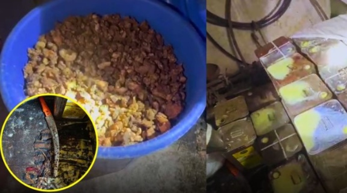 Goa: Illegal slaughterhouse operating in residential area raided, 2 bovines and over 800 kgs of animal fat recovered; accused Aslam was using it to produce Ghee