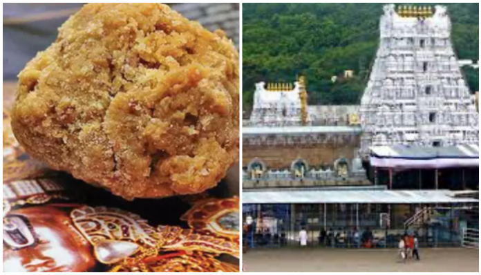 Tirupati Laddu prasadam controversy