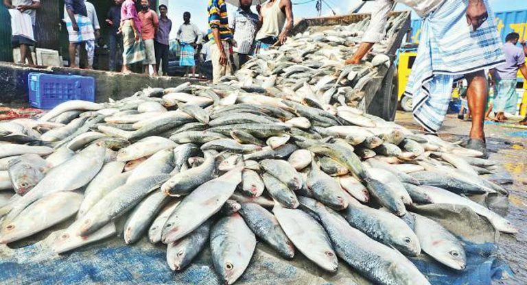 Bangladesh govt reverses decision to ban export of Hilsa to India, approves export of 3000 tons of the fish on the occasion of Durga Puja