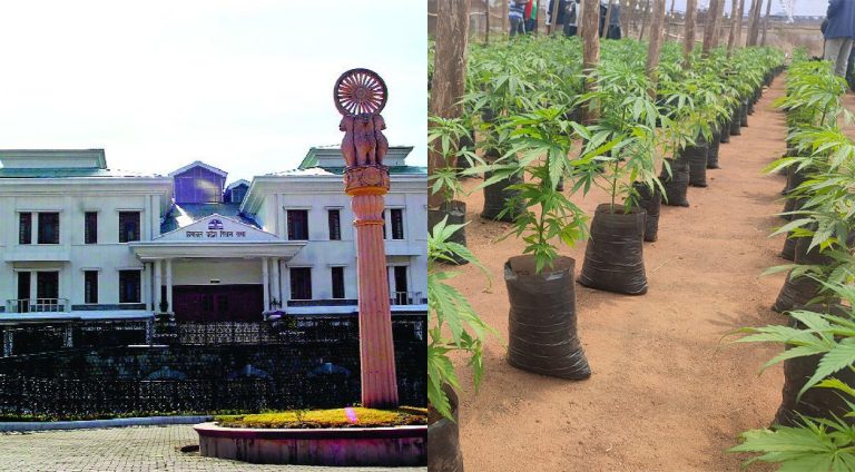 Himachal Pradesh Assembly adopts resolution to legalise cannabis cultivation in the state due to its potential as an economic asset