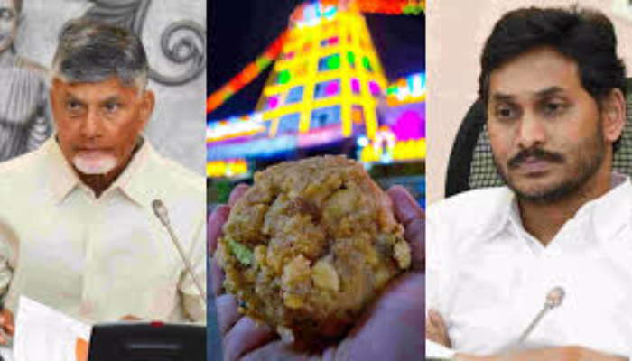 Beef fat, pig fat and fish oil used in Tirupati temple laddus: NDDB test report confirms allegations of Chandrababu Naidu