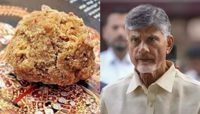 CM Naidu announced temple cleansing across state following animal fat was found in ghee supplied for Laddu Prasadam in Tirupati Temple